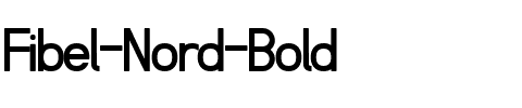 Fibel Nord Bold.ttf