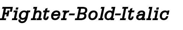 Fighter Bold Italic.ttf