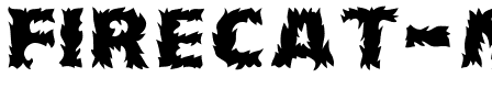 Firecat Medium.ttf