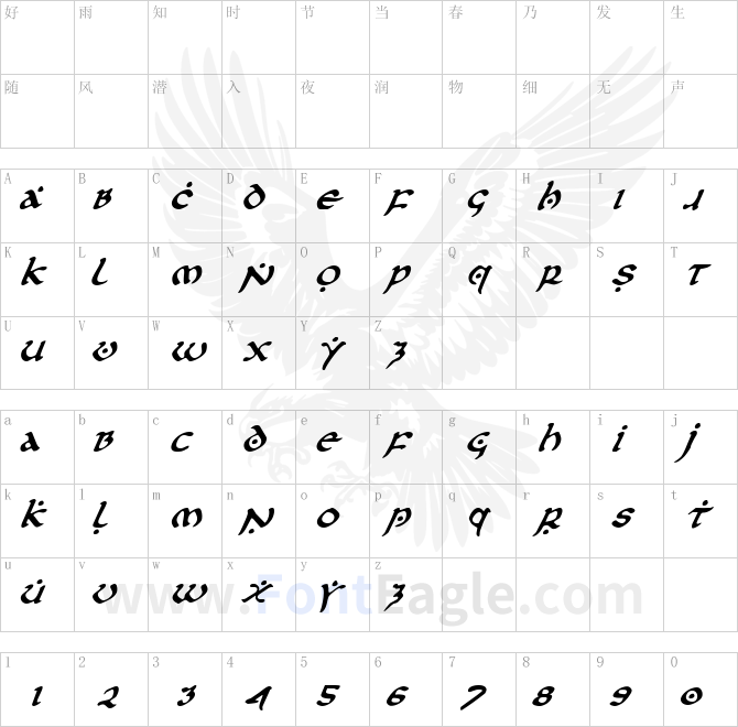 First-Order-Italic-copy-3-