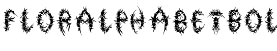 FlorAlphabet-Bold Regular.ttf
