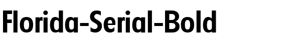 Florida-Serial Bold.ttf