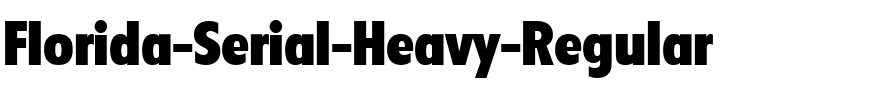 Florida-Serial-Heavy Regular.ttf