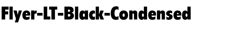 Flyer LT BlackCondensed Regular.ttf