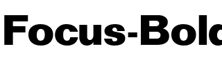 Focus Bold.ttf