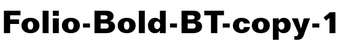 Folio Bk BT Bold.ttf