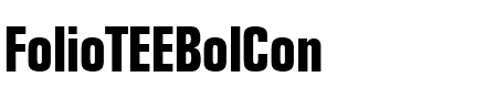 FolioTEEBolCon Regular.ttf