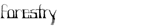 Forestry Regular.ttf