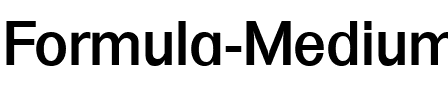 Formula-Medium Regular.ttf