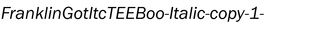 FranklinGotItcTEEBoo Italic.ttf