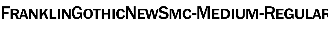 FranklinGothicNewSmc-Medium Regular.ttf