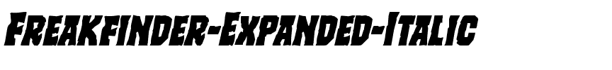 Freakfinder Expanded Italic Expanded Italic.ttf