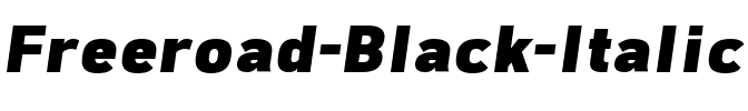 Freeroad Black Italic.ttf