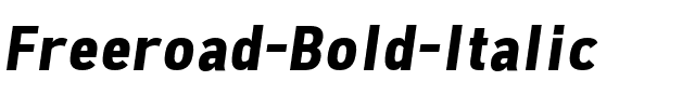 Freeroad Bold Italic.ttf