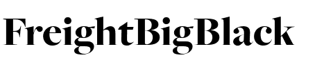 FreightBigBlack Regular.ttf