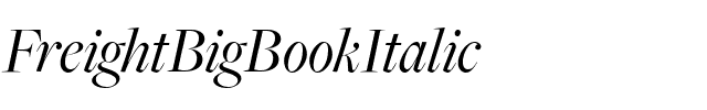 FreightBigBookItalic Regular.ttf