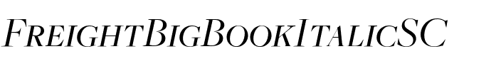 FreightBigBookItalicSC Regular.ttf
