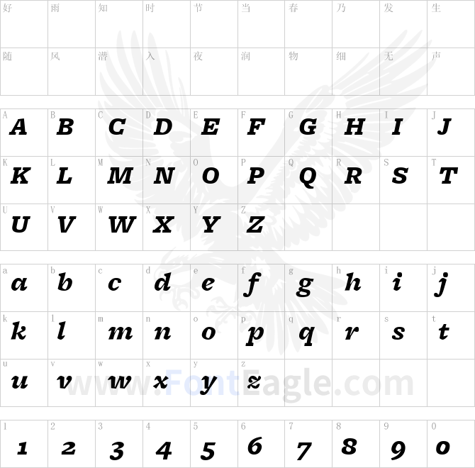 FreightMicro-BlackItalic