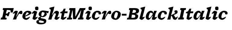 FreightMicro BlackItalic Regular.ttf