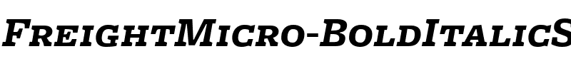 FreightMicro BoldItalicSC Regular.ttf