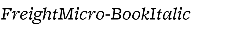 FreightMicro BookItalic Regular.ttf