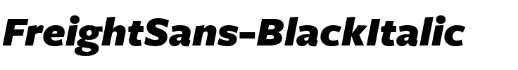 FreightSans BlackItalic Regular.ttf