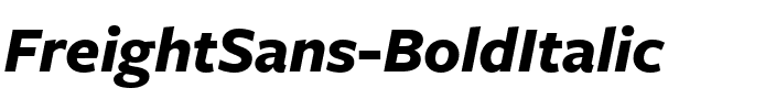 FreightSans BoldItalic Regular.ttf