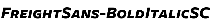 FreightSans BoldItalicSC Regular.ttf