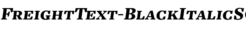 FreightText BlackItalicSC Regular.ttf