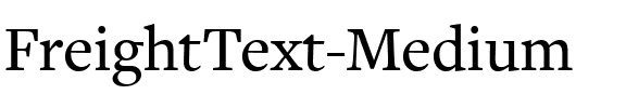FreightText Medium Regular.ttf