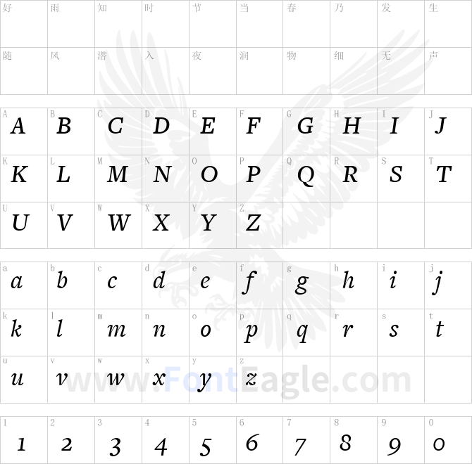 FreightText-MediumItalic