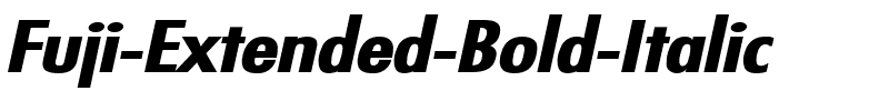 Fuji Extended Bold Italic.ttf