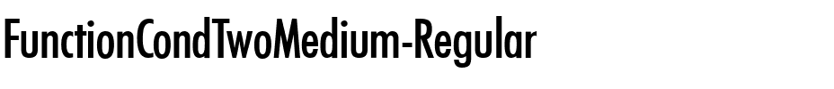 FunctionCondTwoMedium Regular.ttf