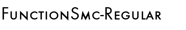 FunctionSmc Regular.ttf