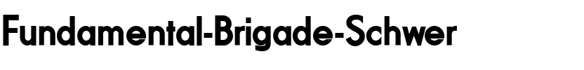 Fundamental  Brigade Schwer Regular.ttf