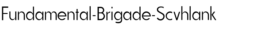 Fundamental  Brigade Scvhlank Regular.ttf