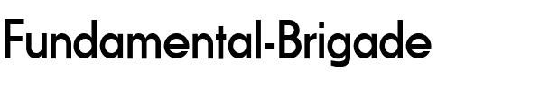 Fundamental  Brigade Regular.ttf