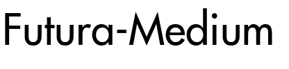 Futura Medium Regular.ttf