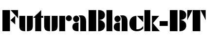 FuturaBlack BT Regular.ttf