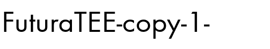 FuturaTEE Regular.ttf