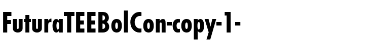 FuturaTEEBolCon Regular.ttf