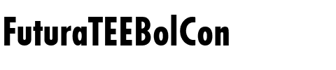 FuturaTEEBolCon Regular.ttf