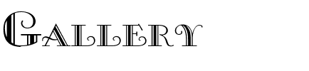 Gallery Regular.ttf