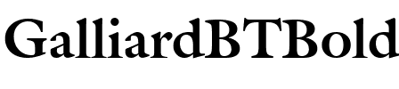 Galliard BT Bold.ttf