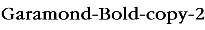 Garamond Bold.ttf