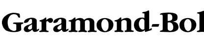 Garamond-Bold Regular.ttf