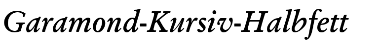 Garamond Kursiv Halbfett.ttf