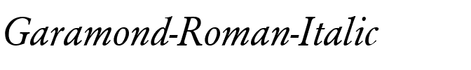 Garamond Italic.ttf