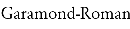 Garamond Regular.ttf