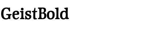 GeistBold Regular.ttf